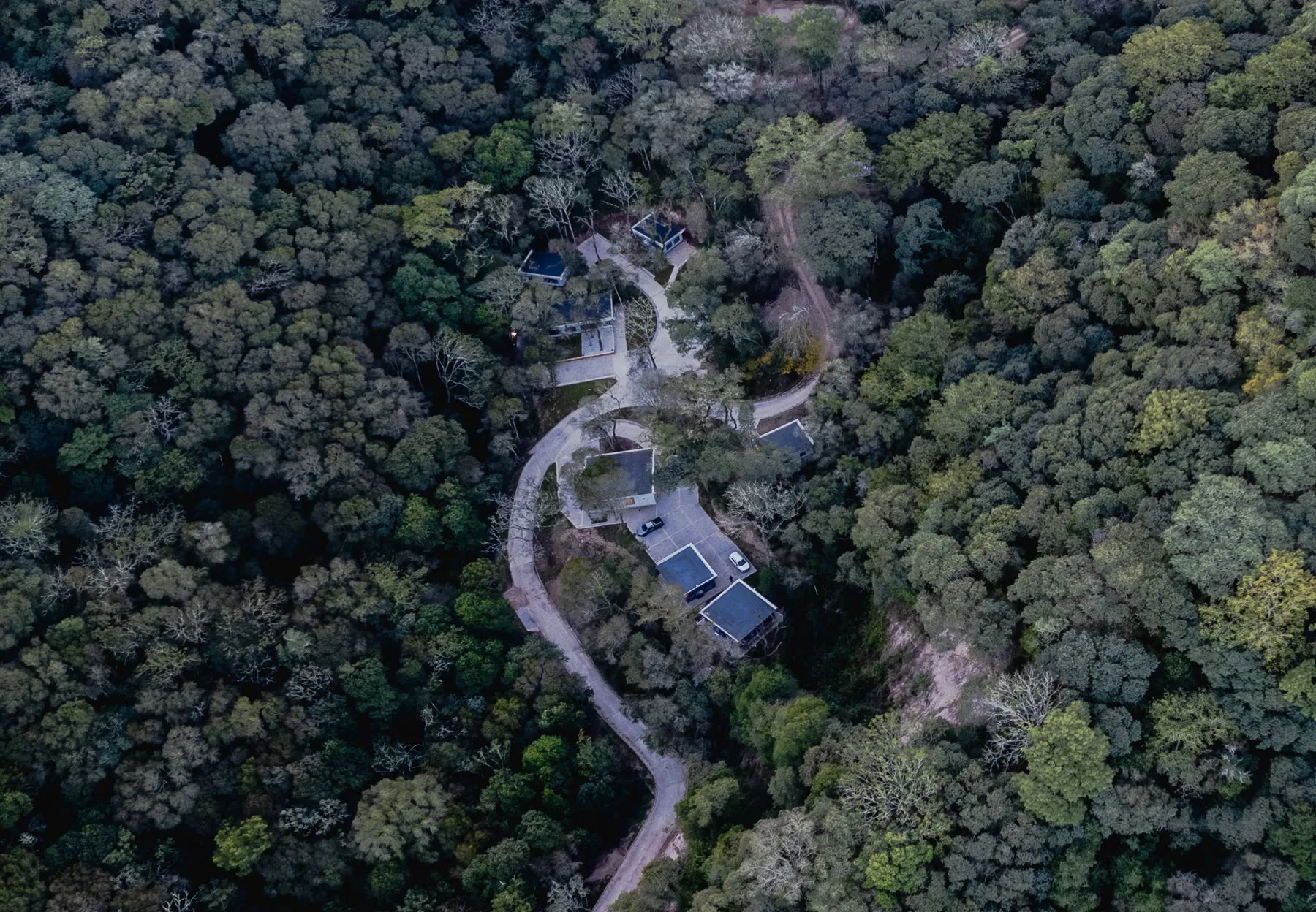 Especial Ecolodge de la Selva