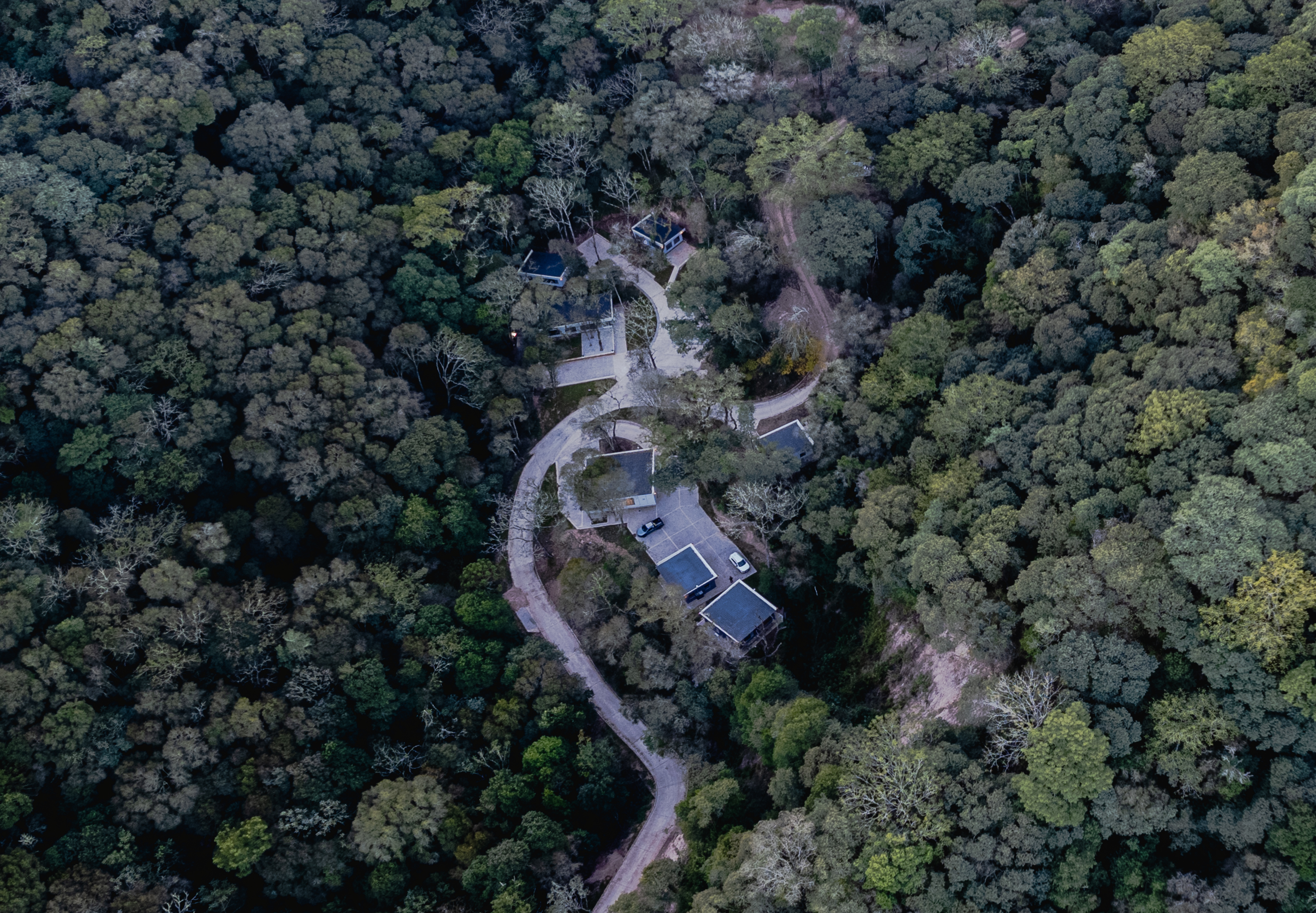 Especial Ecolodge de la Selva